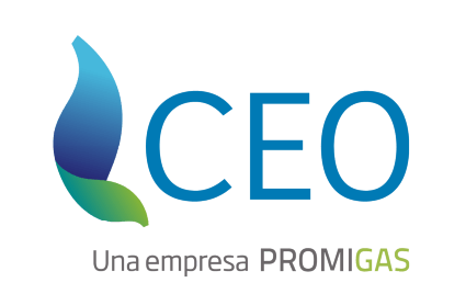 CEO